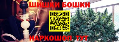 сатива Нальчик