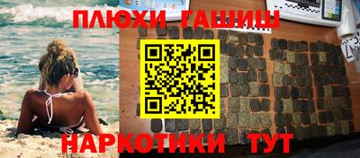 сатива Нальчик